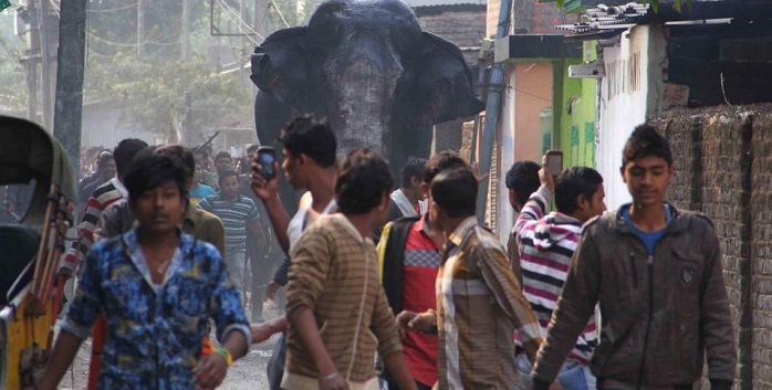 Elephant rampages in east Indian town, smashing homes